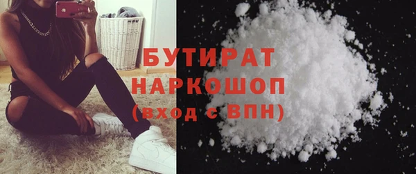 сатива Няндома