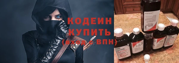сатива Няндома