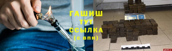сатива Няндома