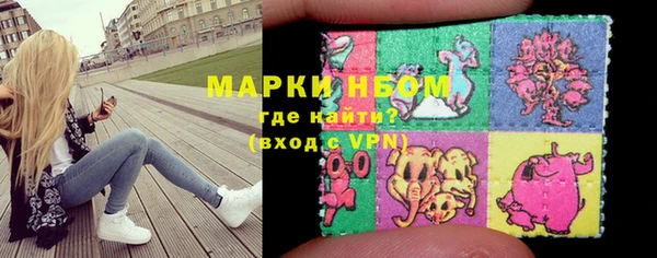 сатива Няндома