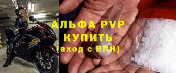 сатива Няндома