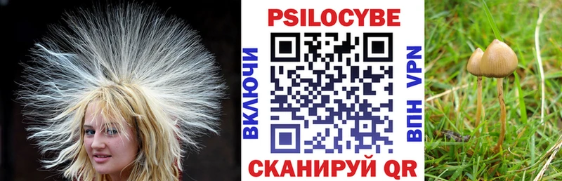 Галлюциногенные грибы Psilocybe  hydra   Бирюч 
